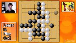 Learn To Play Go! A Guide for Beginners