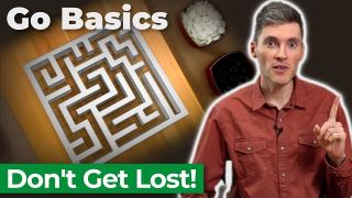 The Labyrinth Principle. How to Finish the Game of Go | Go Basics: Endgame